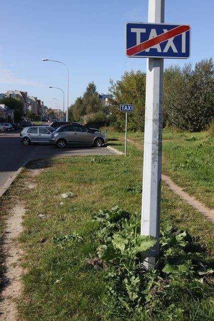 Zaśmiecony trawnik z wysokimi krawężnikami to postój taxi przy ul. Zachodniej.