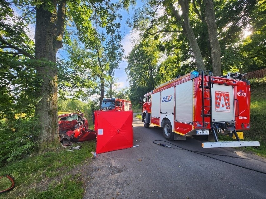 Tragedia na Dolnym Śląsku. Samochód z impetem wbił się w drzewo, dwoje wrocławian nie żyje