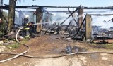 Krasne Folwarczne. Niebezpieczny pożar. 8 jednostek straży pożarnej w akcji, mimo to budynek gospodarczy i garaż spłonęły doszczętnie