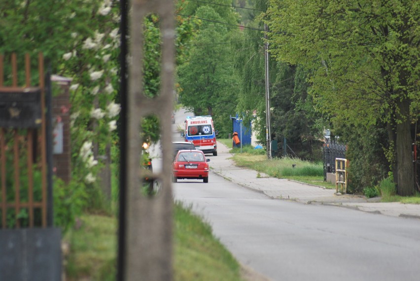 Dramat w Łagiewnikach. Mężczyzna przygnieciony przez drzewo. Walczyli o życie pilarza FOTO