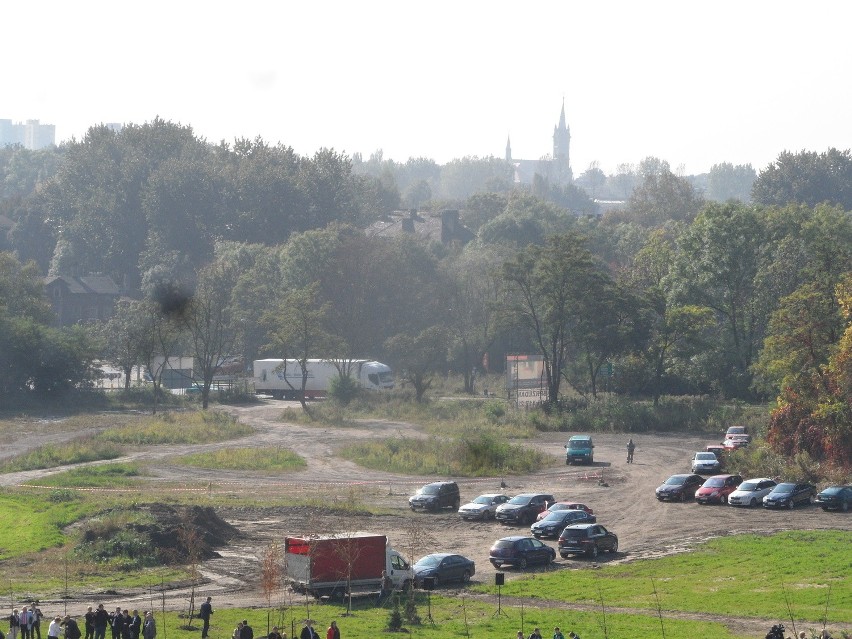 Zabrze rekultywuje stare zwałowiska. Posadzili drzewa na hałdzie [ZDJĘCIA]