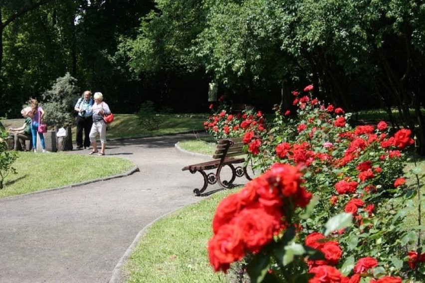 Festiwal Kwiatów Zabrze 2016: ogród botaniczny będzie centrum sztuki i fotografii [PROGRAM]