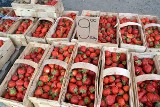 Targ w Stalowej Woli w piątek 24 czerwca. Zobacz ceny truskawek oraz innych owoców i warzyw 