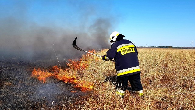 To było pracowite 48 godzin dla strażaków z województwa podlaskiego. Przez dwa dni walczyli oni z palącymi się łąkami i torfowiskami. Najdłużej akcja gaśnicza trwała w Krasnymborze (pow. augustowski). Strażacy z OSP Sztabin walczyli z żywiołem przez siedem godzin