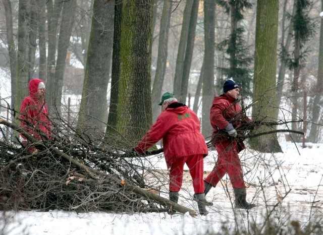 W Leśniczówce trwa usuwanie gałęzi i krzewów po wycince.