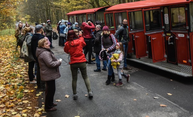 W niedzielę w bydgoskim Myślęcinku odbyła się wycieczka w ramach odkrywania tajemnic tego miejsca. Zapraszamy do obejrzenia zdjęć. Podczas wyprawy sprawdzano m.in., gdzie przebiega 18 południk.Zobacz również:Stop Agresji Drogowej. Odcinek 4