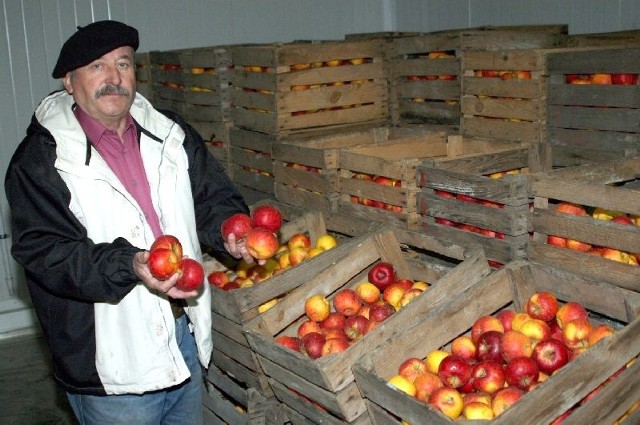 Jabłka rosnące w sadzie tarnobrzeżanina Stanisława Szwedo są ekologiczne i bardzo smaczne.