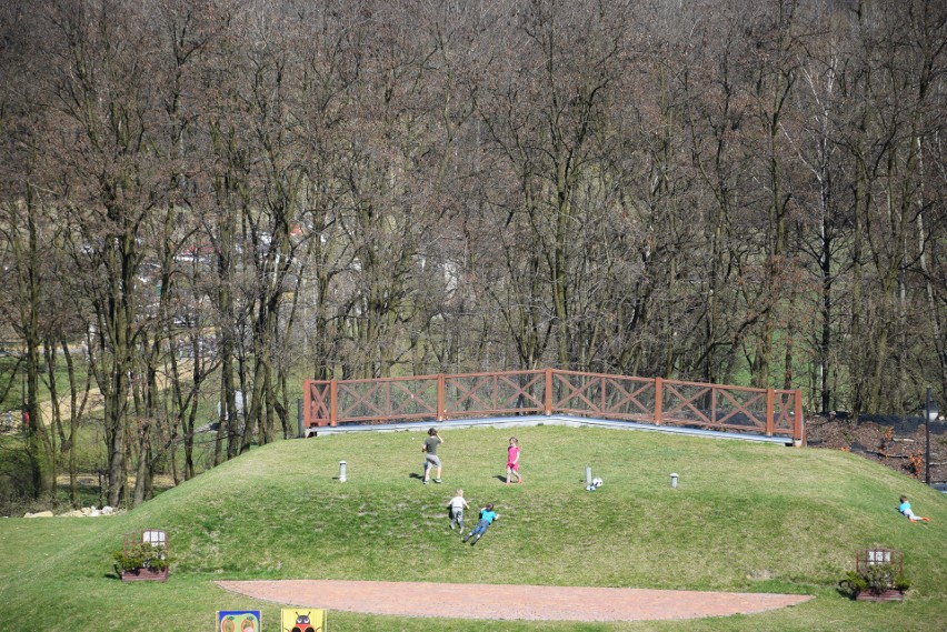 Śląski Ogród Botaniczny. Międzynarodowy Dzień Ptaków