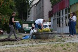 Mieszkańcy kieleckiego Szydłówka sami dbają o swoje osiedle. "Małymi krokami chcemy zmieniać nasze otoczenie" [ZDJĘCIA]