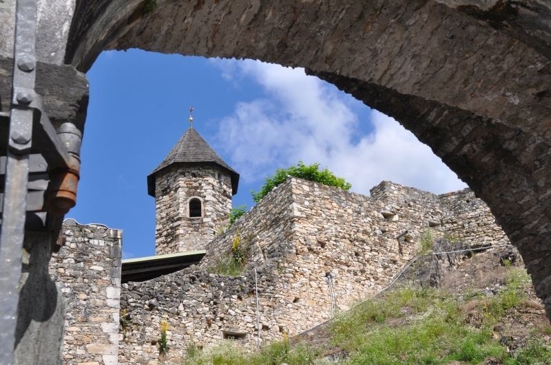 Austria. Niezwykły pokaz ptasich lotów na zamku w Landskron