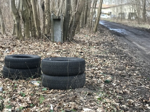 Zaniedbany teren przy ul. Gdyńskiej ma zostać wkrótce posprzątany.