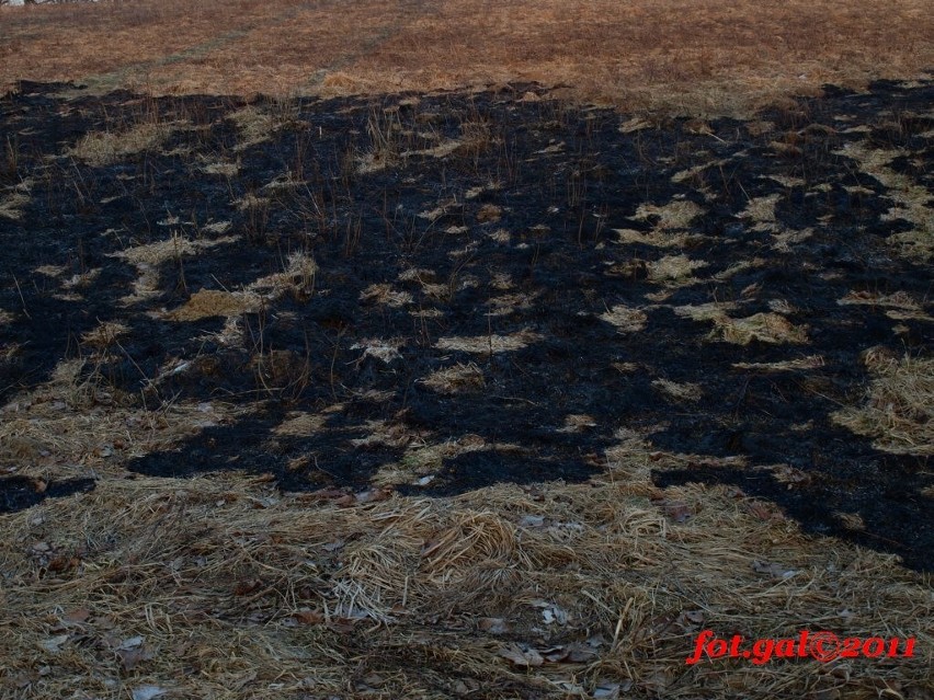 Pożar traw w gminie Karlino