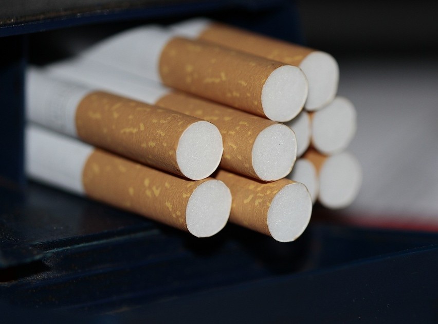Prawie 21 tys. sztuk papierosów i tytoń bez akcyzy w mieszkaniu w Częstochowie