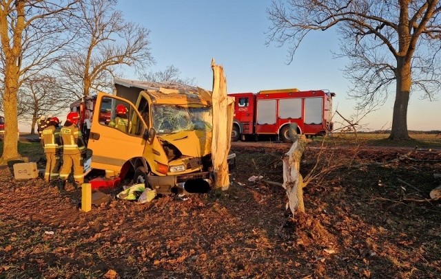 Poważny wypadek w Ługach koło Dobiegniewa. Samochód dostawczy uderzył w drzewo.