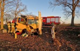 Poważny wypadek w Ługach koło Dobiegniewa. Samochód dostawczy uderzył w drzewo. Dwie osoby trafiły do szpitala