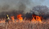 W Łódzkiem trwa sezon na wypalanie traw. Straż pożarna odbiera już pierwsze zgłoszenia. Do ilu pożarów doszło? 