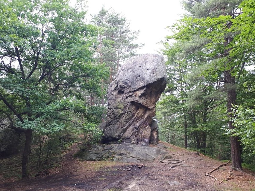 Diabelski Kamień w Rudniku