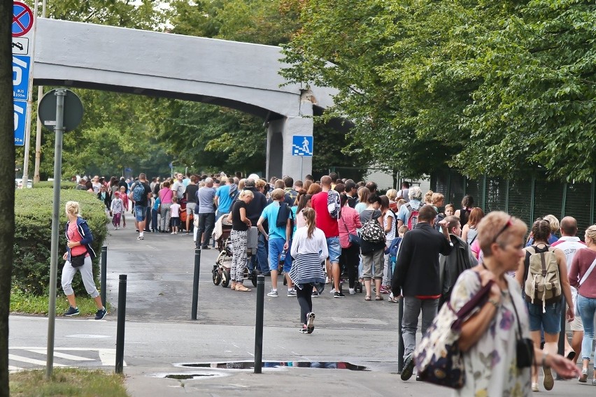 Ogromne kolejki do kas zoo. Tłumy zwiedzających [ZDJĘCIA]