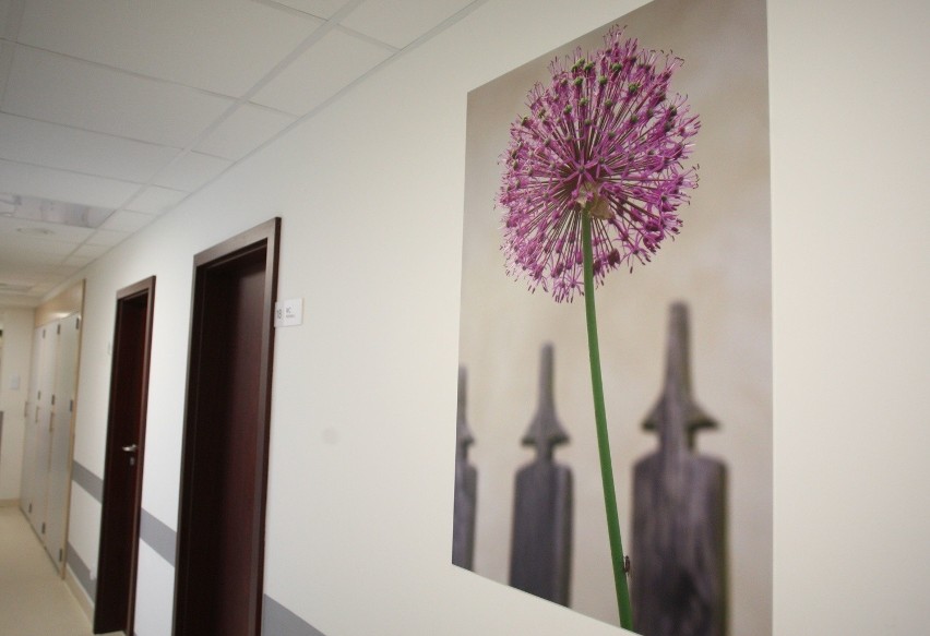 Poradnia Onkologiczna w szpitalu w Redłowie rozkwitła na wiosnę. Ozdabia ją galeria zdjęć