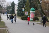 Spacerowicze w Parku Śląskim w Chorzowie - choć pogoda nie sprzyja, można wybrać się na spacer