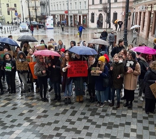 Młodzieżowy Strajk Klimatyczny w Lublinie. „To nie jest świat, w którym chcę żyć" 