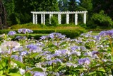 Najpiękniejsze parki miejskie Dolnego Śląska. Wiosna zdecydowanie należy do nich! Zobaczcie 