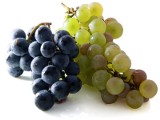 Winogrona łagodzą stres i oczyszczają organizm