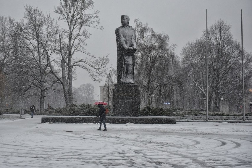 Śnieżyca w Poznaniu. Zasypało całe miasto