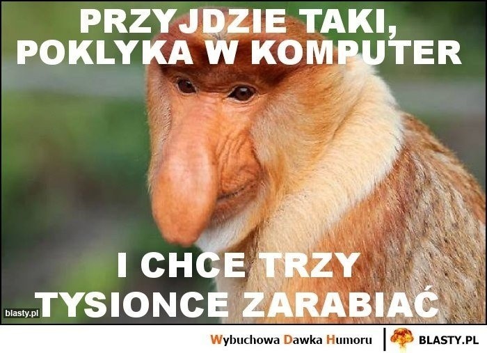 Dziwne, u mnie działa! Nowe MEMY o informatykach i...