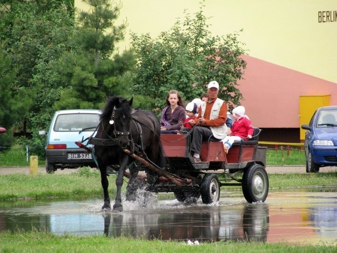 Dzień Dziecka