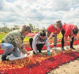 Wielkie święto tulipanów w Mokrym Dworze