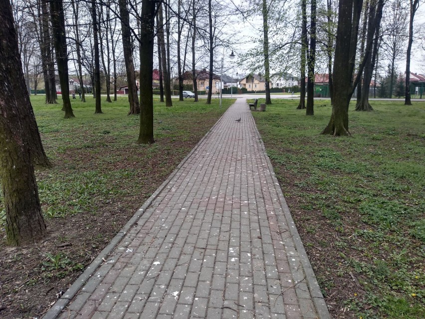 Park Miejski w Kańczudze, z którego usunięto gniazda...