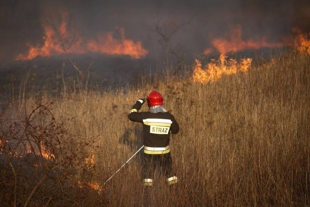 W 2020 roku Państwowa Straż Pożarna odnotowała 18 ofiar śmiertelnych i 103 osoby poszkodowane w pożarach traw.