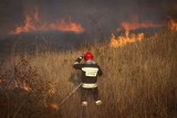 Wypalanie traw w regionie radomskim. Są już pierwsze pożary. Strażacy przestrzegają 