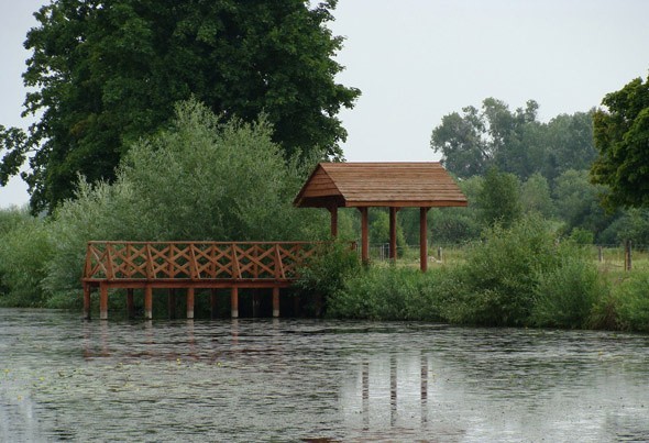 Zbiornik wodny w Pniowie, gdzie utworzony został naturalny rezerwat orzecha wodnego kotewki