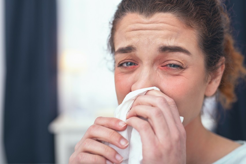 Objawy alergii to między innymi katar sienny