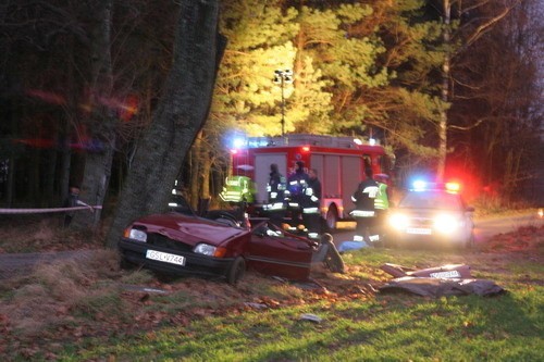 Do tragicznego zdarzenia drogowego doszlo na trasie z...