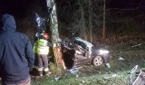 Samochód uderzył w drzewo w Wypaleniskach. Nie żyje 20-latka