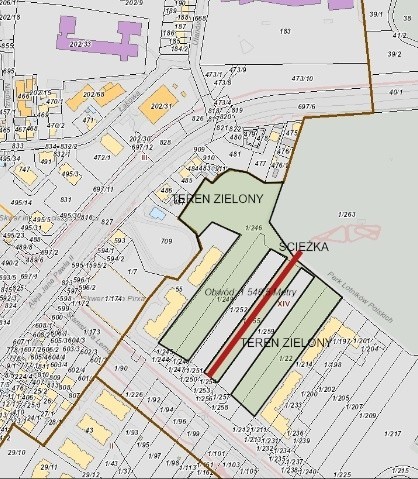 Kraków. Mieszkańcy chcą większego Parku Lotników Polskich. Ale gmina planuje sprzedać teren, o który można by poszerzyć zieleniec!