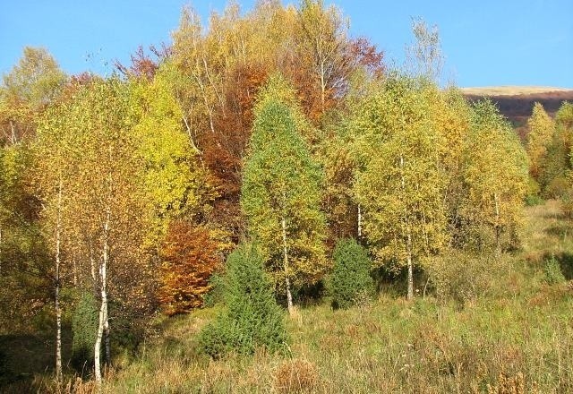 Prognoza pogody na październik