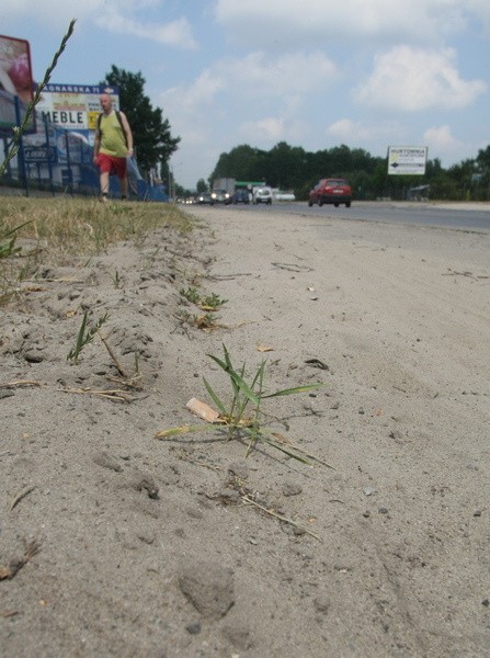 Chodnik na ulicy Zagnańskiej przykrywa gruba warstwa piasku.