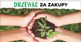 Drzewko za paragon - zrób zakupy w Galerii Kaskada i odbierz sadzonki