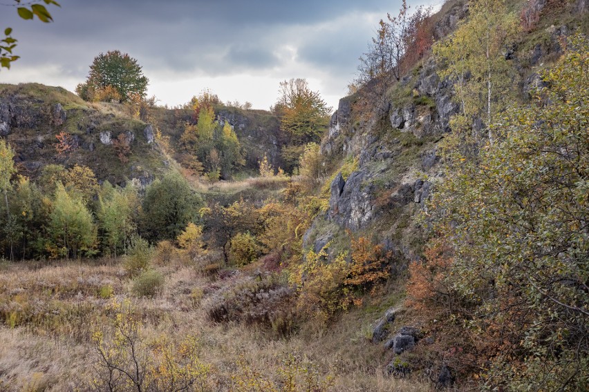 Kraków. Jesień w dawnym kameniołomie. Na razie jest proces, a ma być park 