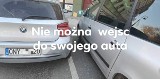 Mistrzowie parkowania w akcji. Komedia i dramat na ulicach Nysy. Nyskie święte krowy mają na sumieniu wiele grzechów parkingowych