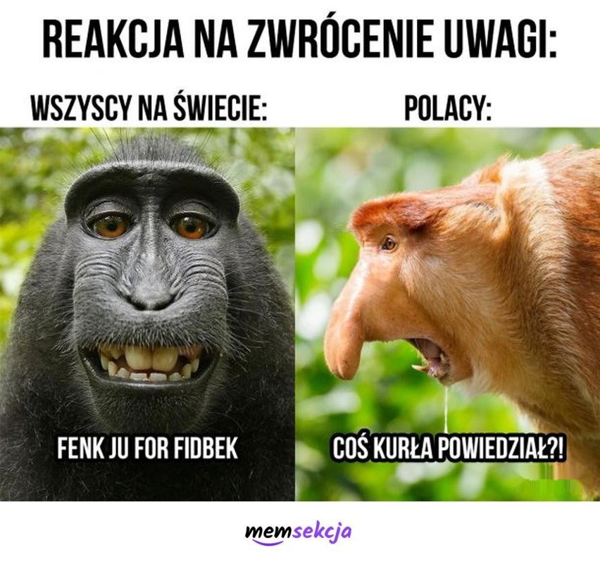 Zobaczcie najlepsze memy z udziałem Janusza Nosacza.