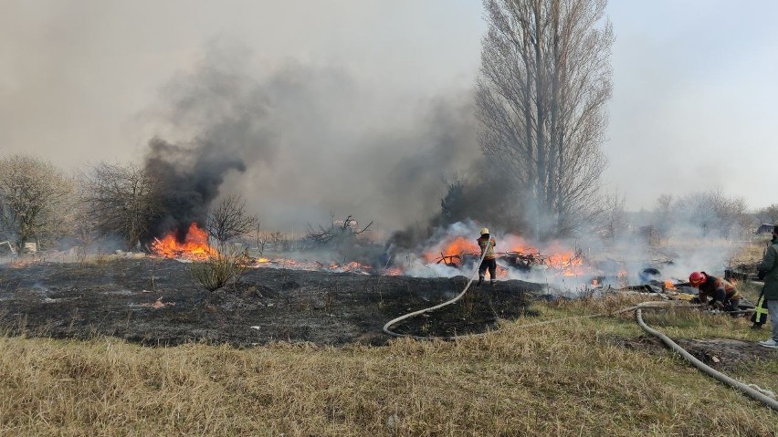 Pożar w Czarnobylu coraz bliżej skażonej strefy. Radioaktywna chmura dotrze nad Podkarpacie? [FOTO]