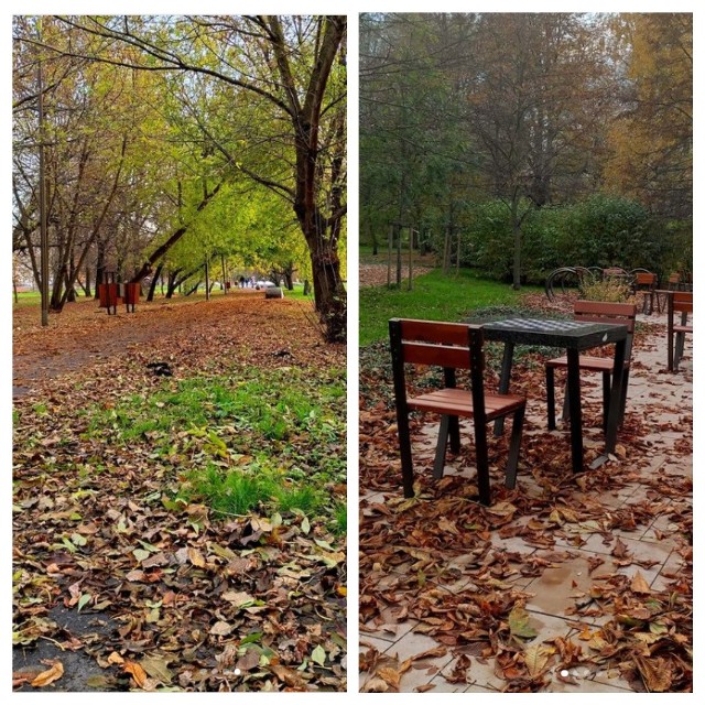Pogoda rozpieszcza nas i możemy dzięki temu cieszyć się polską złotą jesienią. Instagramerzy wykorzystali te okazję i uwiecznili ten czas na swoich zdjęciach.