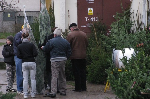 W tym roku lęborczanie chętniej kupują świeże drzewko.