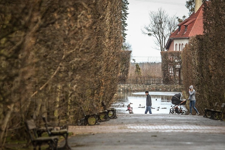 Gdańsk. Park Oliwski.