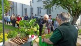 Gmina Kozienice. Leśnicy rozdawali mieszkańcom darmowe sadzonki leśnych drzew i krzewów. Zobacz zdjęcia 